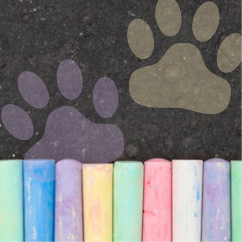 Wild Cat Paw Prints Stencil on pavement with chalk.